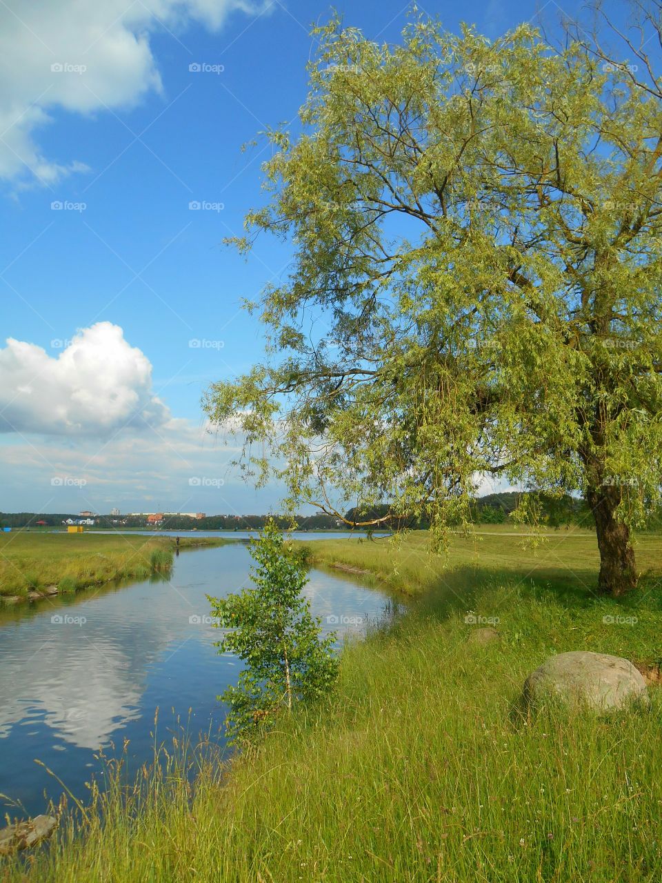 Landscape, Tree, Nature, Water, Lake