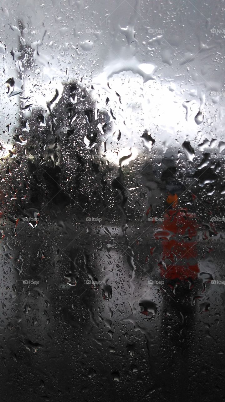 Rainy Car View