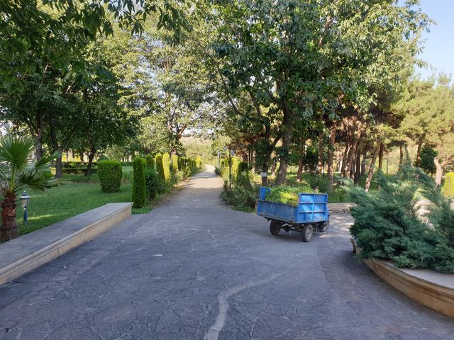 park