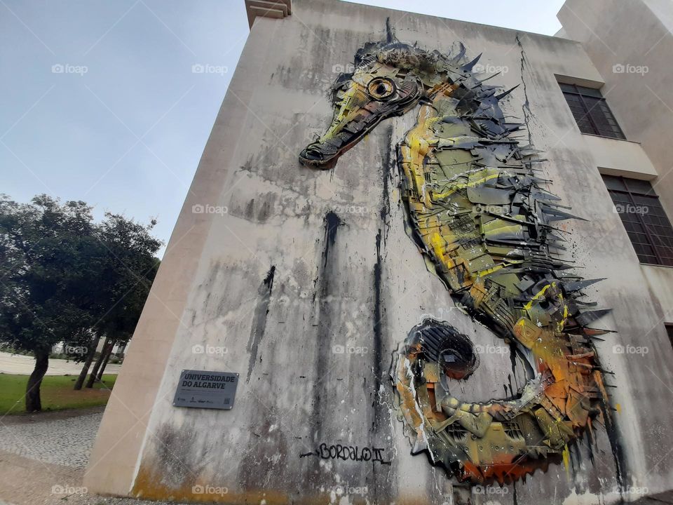 Visual Street Art,  Portugal