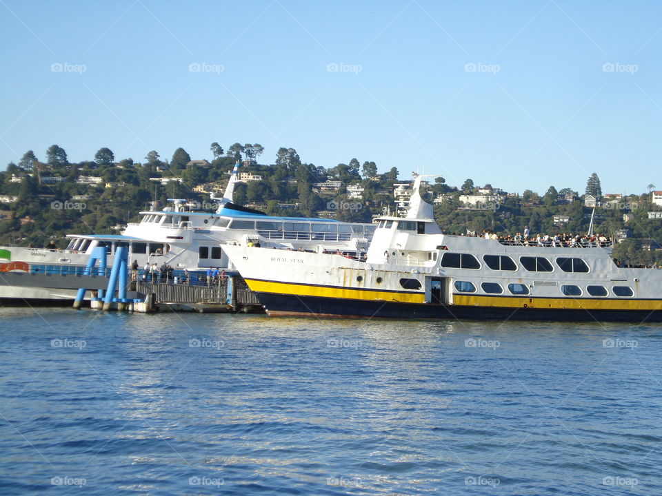 Bay Ferries 