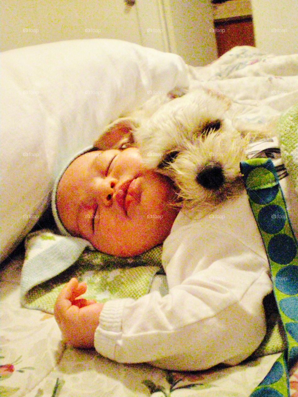 Baby and puppy 