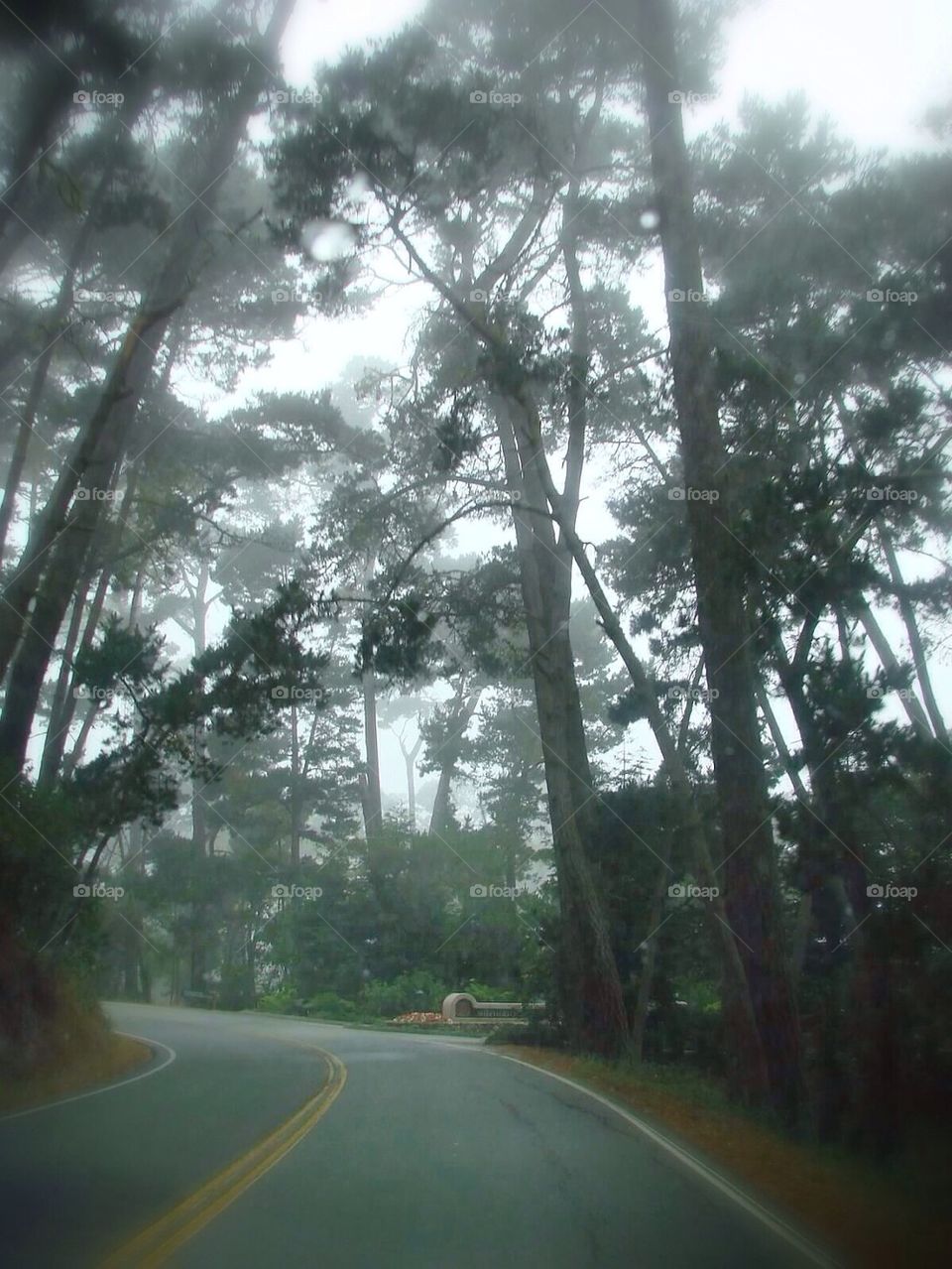 Follow the foggy road