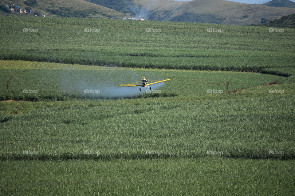 A Nice Scenery And An Aircraft In One Window