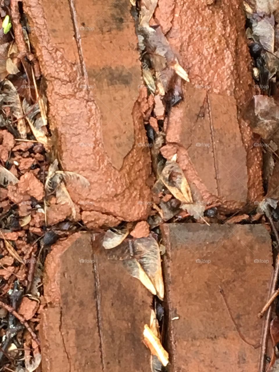 Weathered bricks