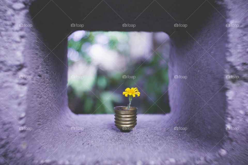 Yellow Daisy Flower in bottom of light bulb holder within a cement block Conceptual