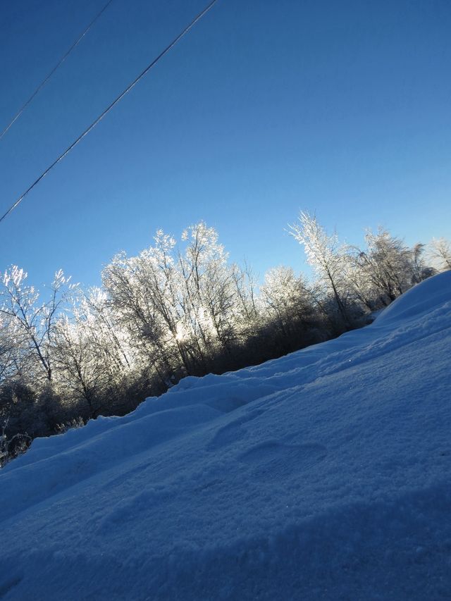 Snow Day