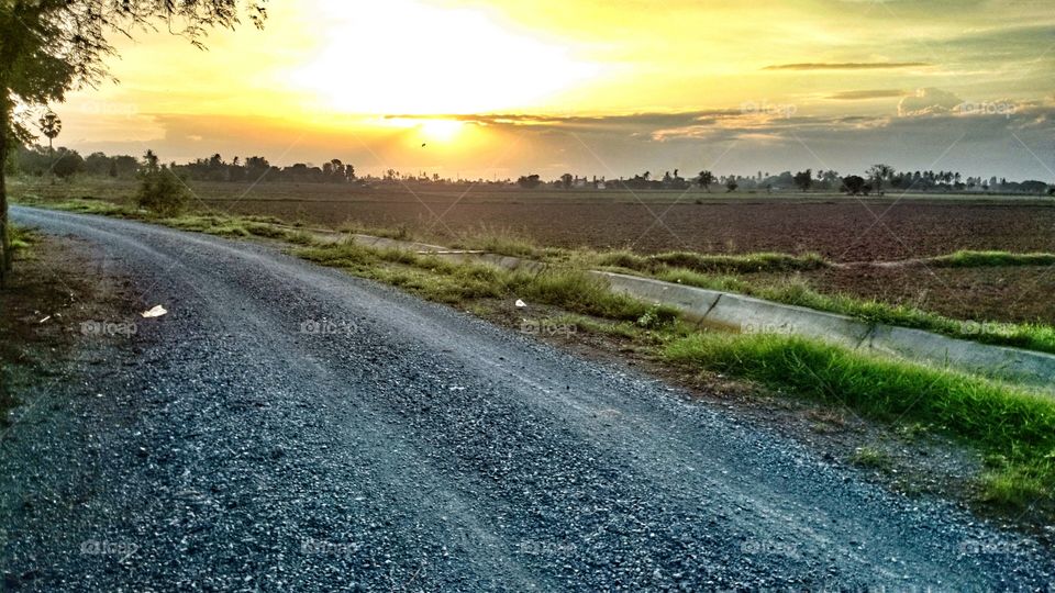 Dirt road along the cultivated land