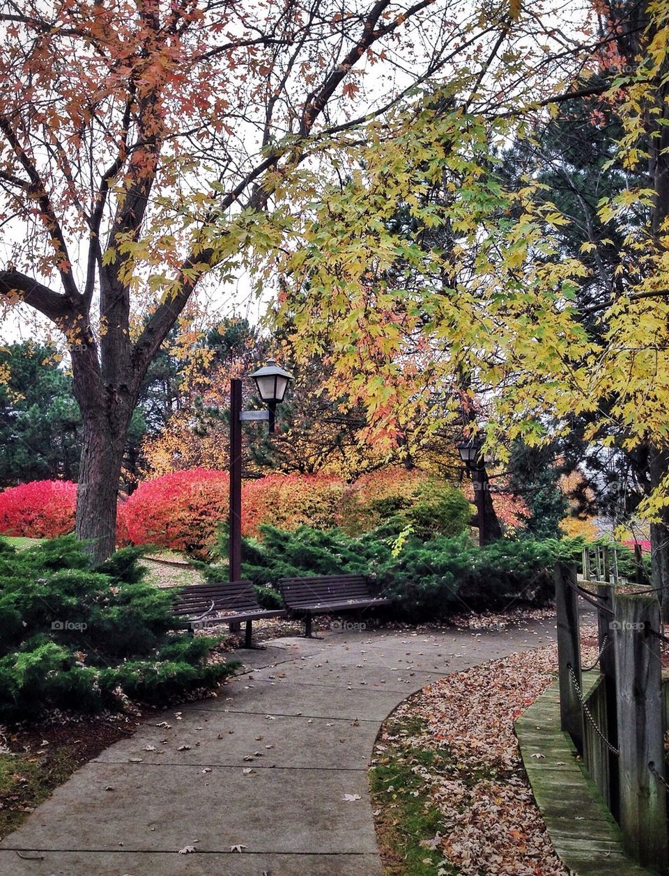 Fall colors in Manistee