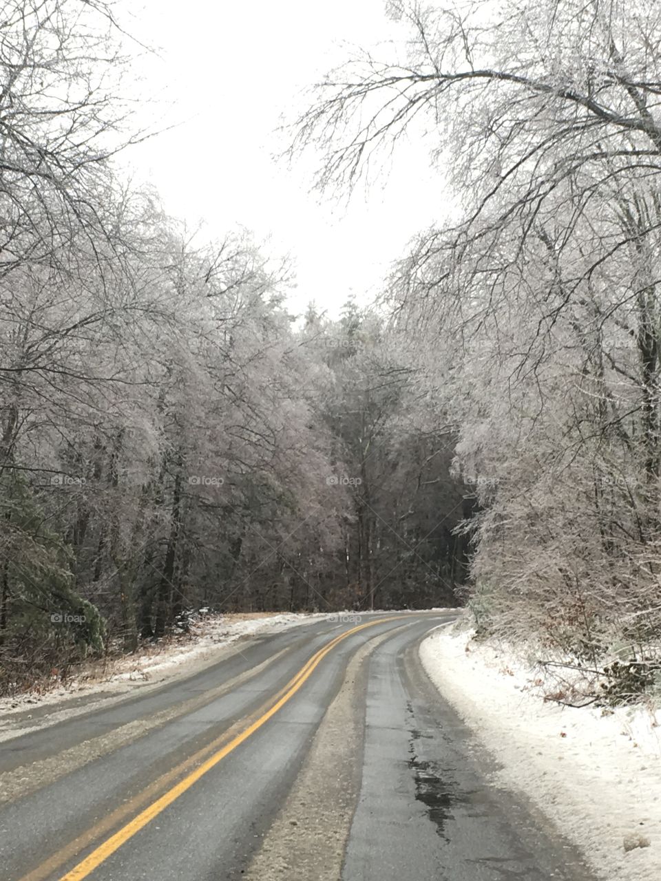 Northeast Winter Roads, Winding roads and icy trees. Something so Beautiful can be so deceiving.