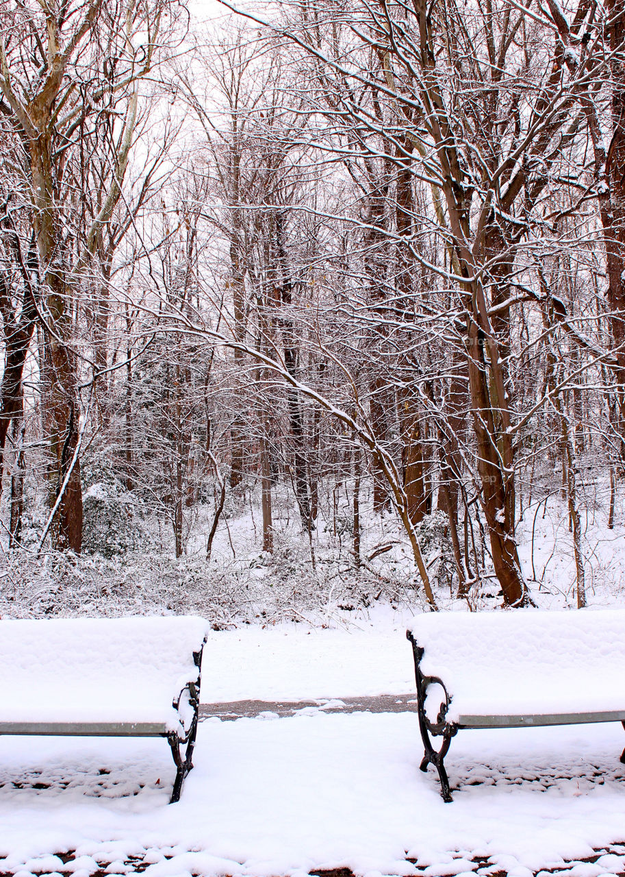 Winter Wonderland after the first snow