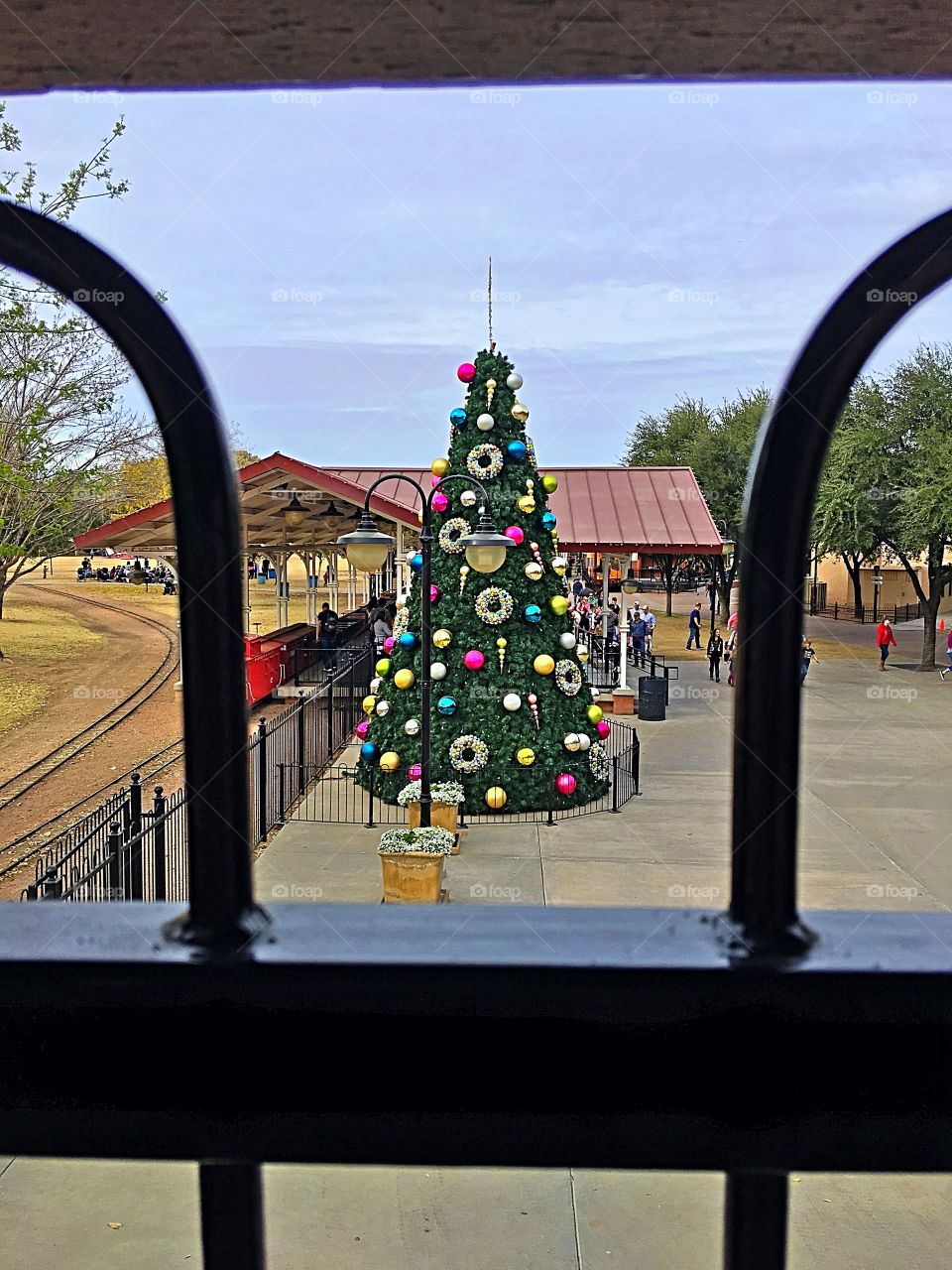 Christmas tree at a park.