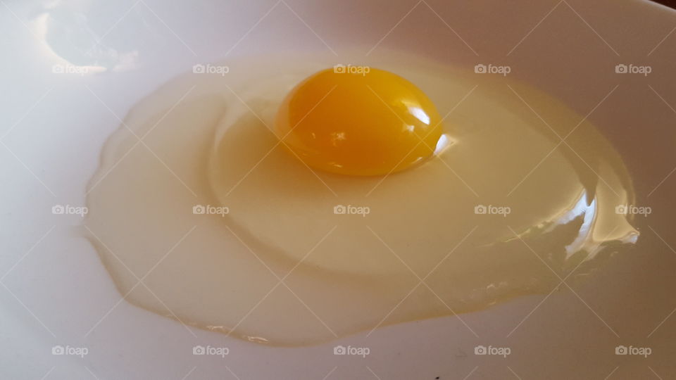 egg 101