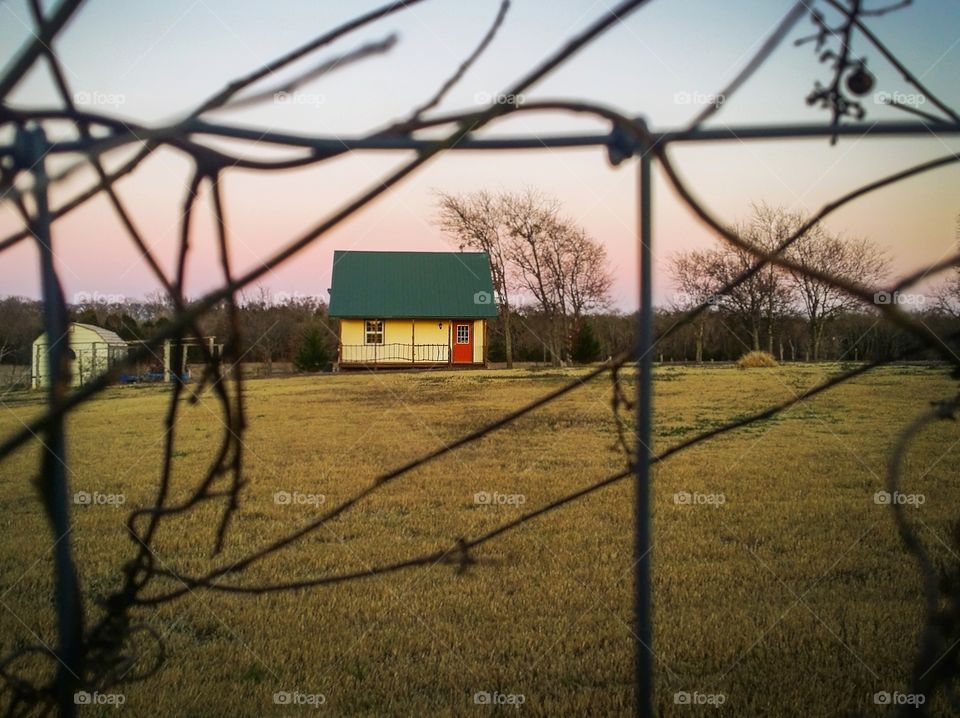 Peeking thru a vine covered fence at a small yellow cabin with a red door and green roof in fall into winter