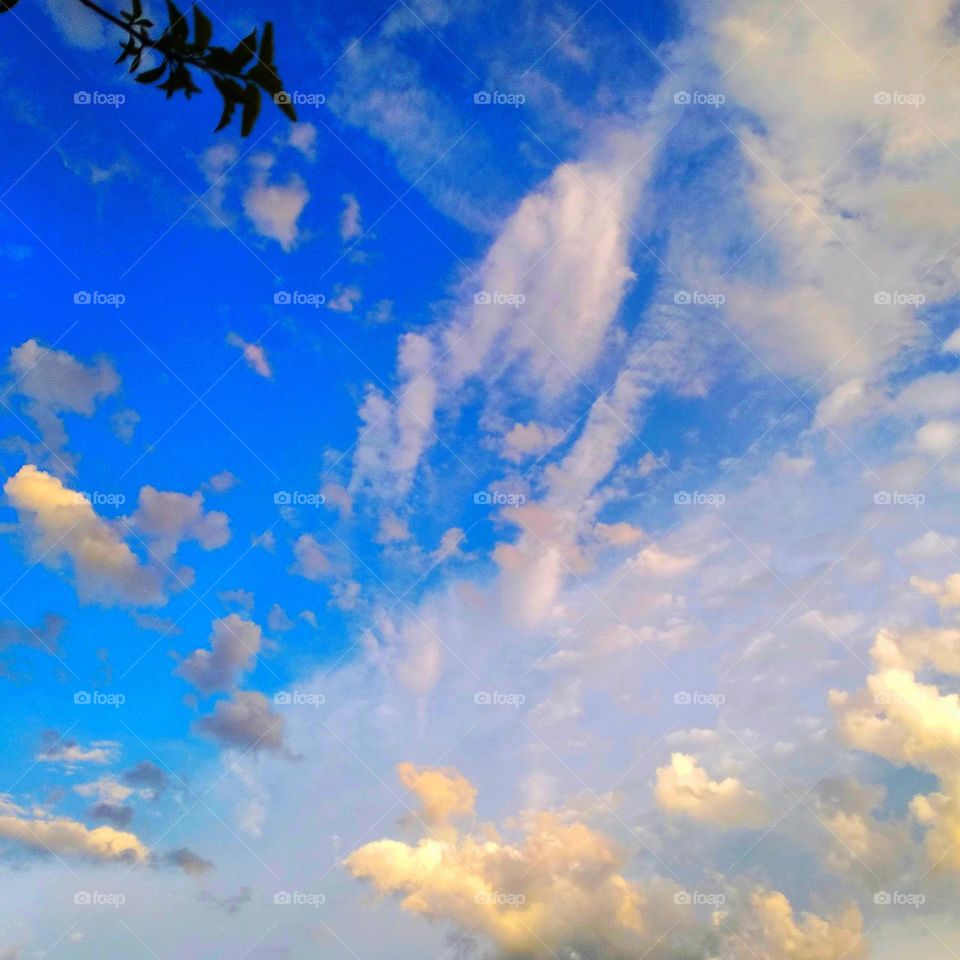 Blue sky, golden clouds