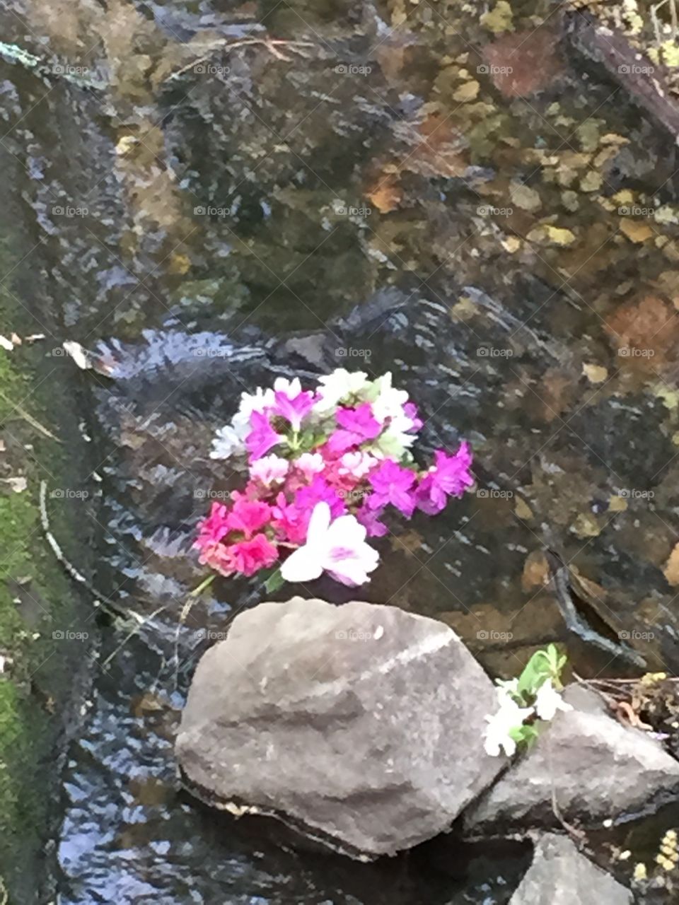 Watery bouquet . Bouquet floating down the stream