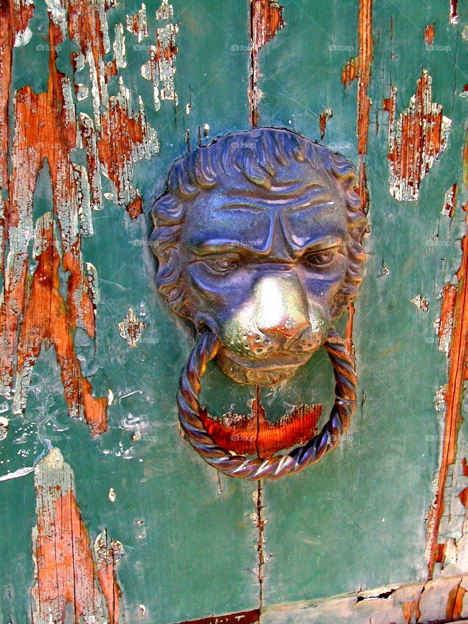 Door knocker
