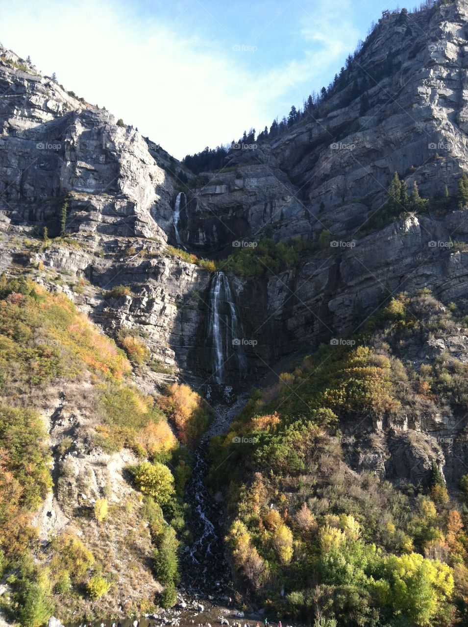The falls. Waterfall 