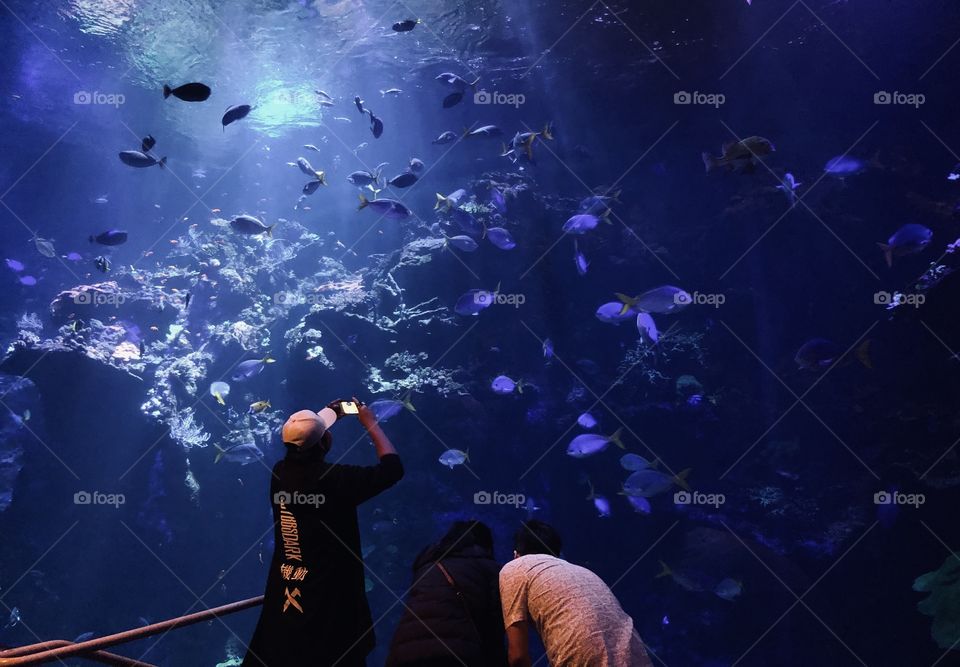 Artificial Underwater World