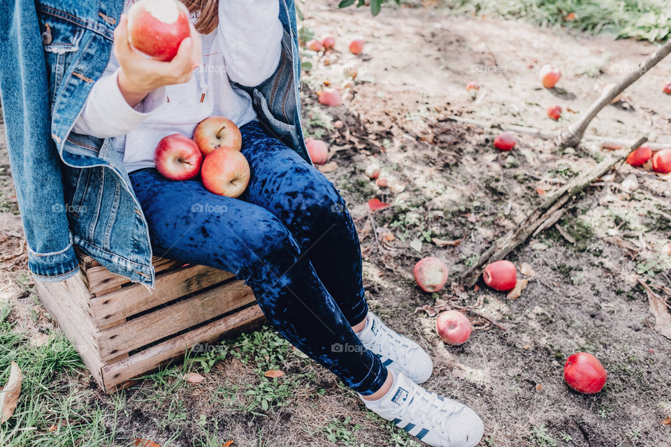 Girl picking fruit and eating fresh apple