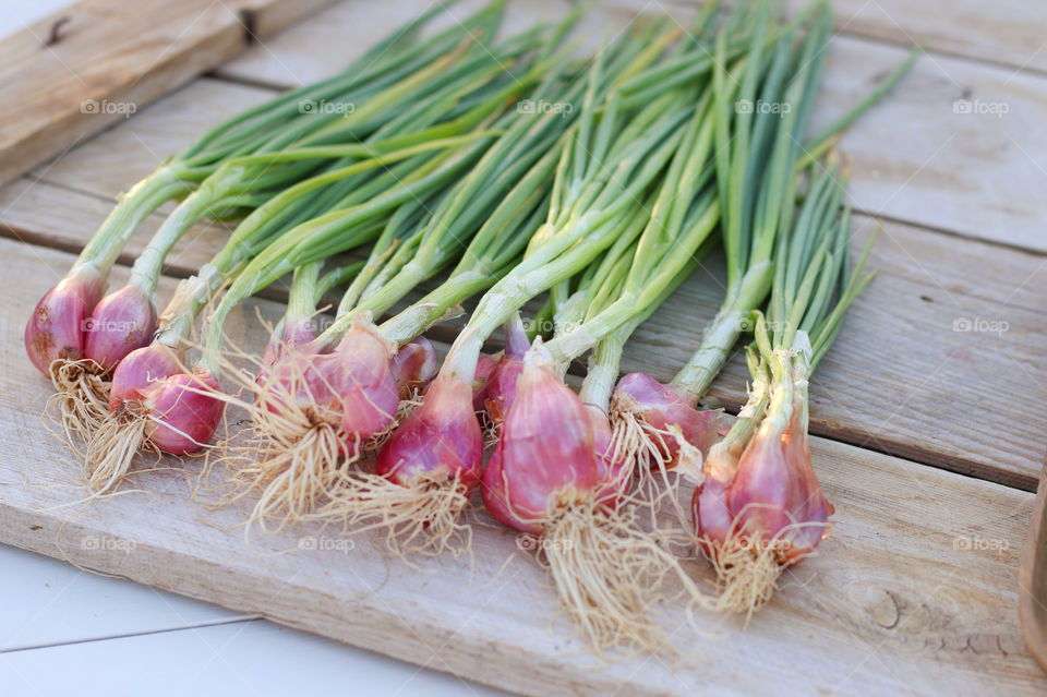 Close-up of shallots