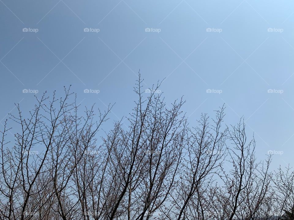 El paisaje de invierno 