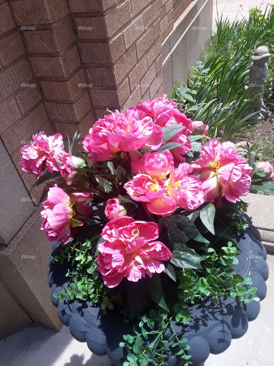 Pink Flowers In Pot Outside Pretty Garden