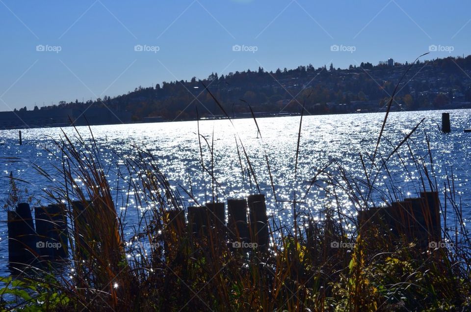 Sunshine on the Lake