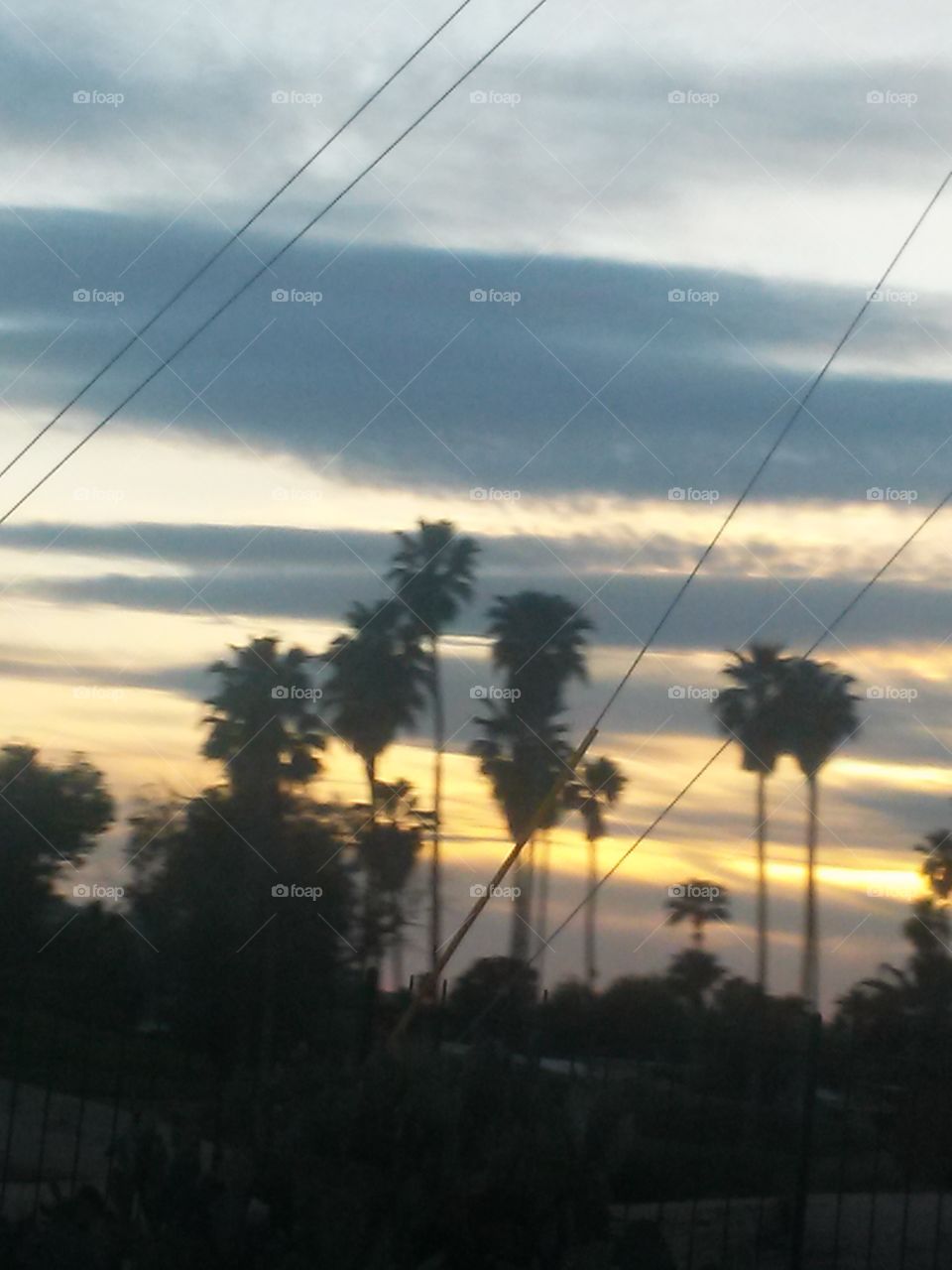 This picture shows , how hard it
Is to get a good picture of Beauty
When you have what man has 
Done to get things and stuff
In the way of what is still 
Visable to see, such a shame 
To mask and cover up the 
Trees, Mountain Range 
The sky even , it really is to
Me a bother and aggrevation
To see Nature Covered up 
Even Though i know it is Progress
And i cannot stop that, and i 
suppose i should not complain 
About that, for it had to be
In evidently built and done
For people like me to live in
The city , lines , stop lights
Electrical lines stretching 
Covering Nature i so Love
To be taking pictures of
I guess a farm would be the place
For me just like on Green Acres 
Just smell that smell, the place
For you ??? `  And Me !!! ;0)