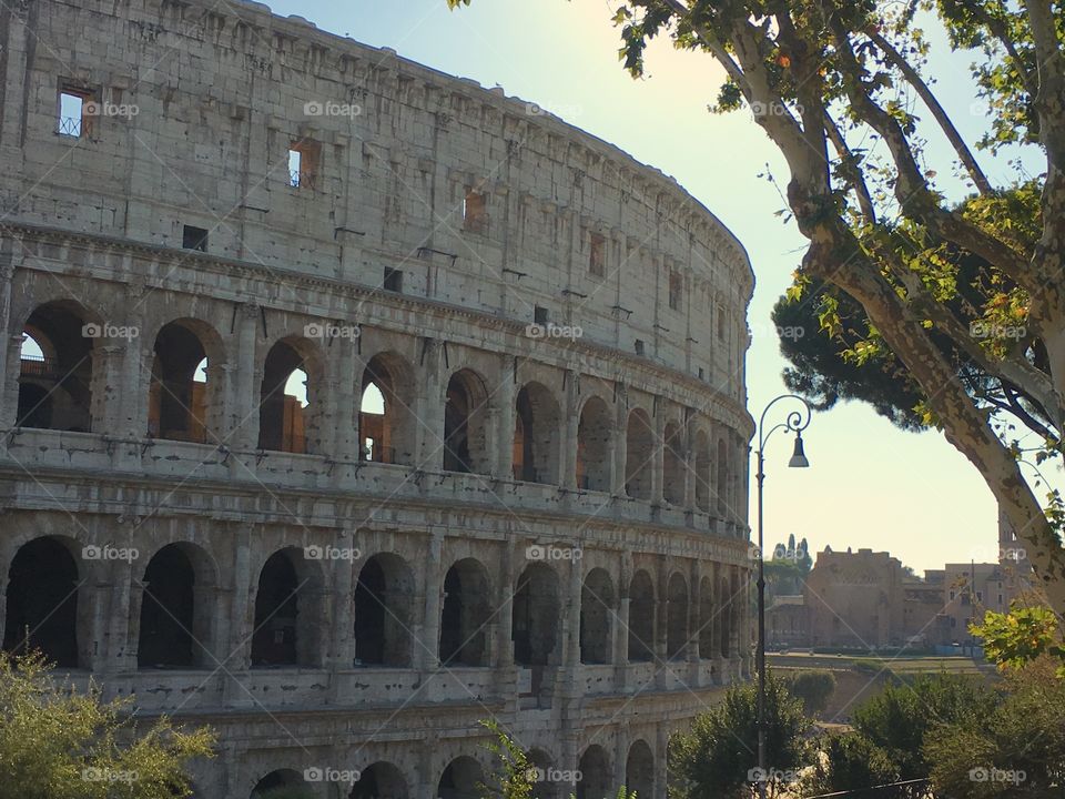 The Colosseum in Rome, Italy