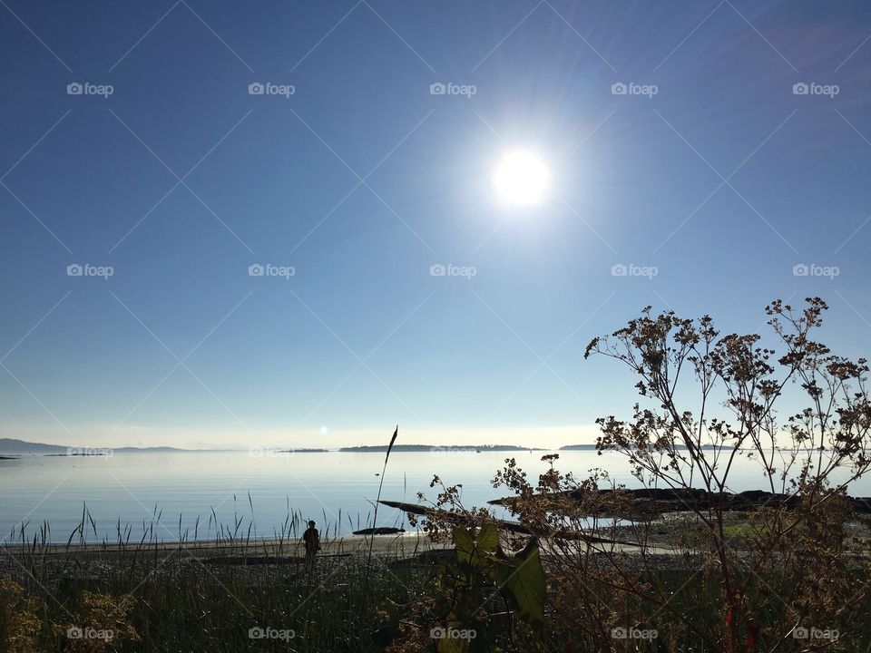 Scenic view of a sea in the morning