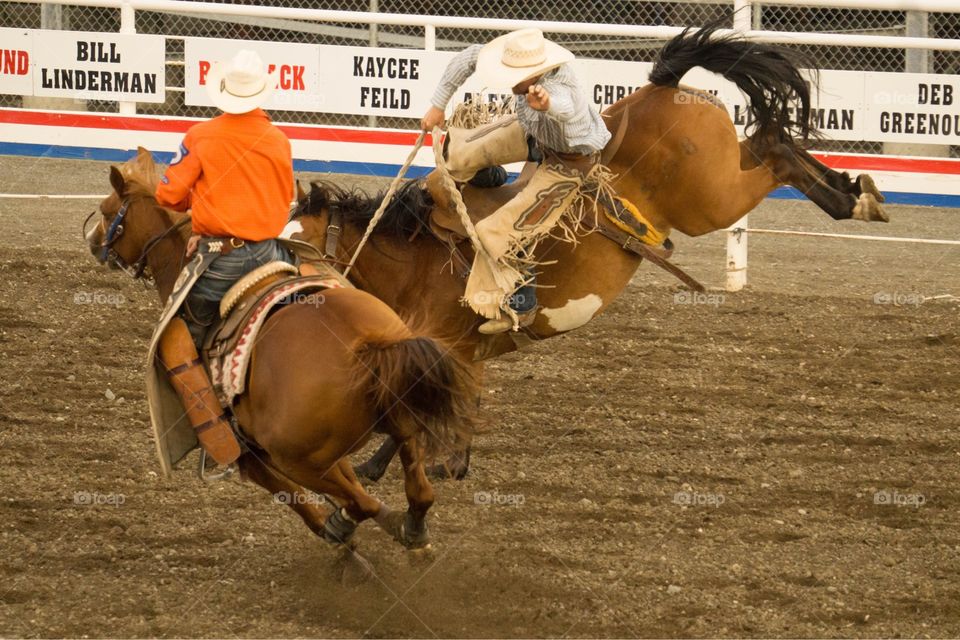 Rodeo Cowboys on Bucking Horses