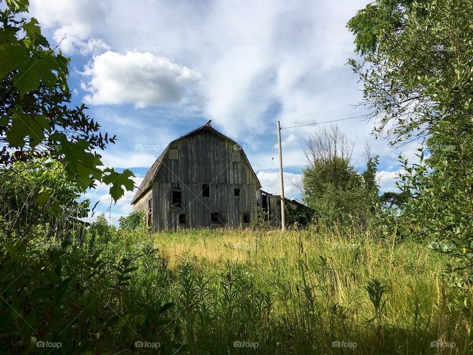 Barn in the bush