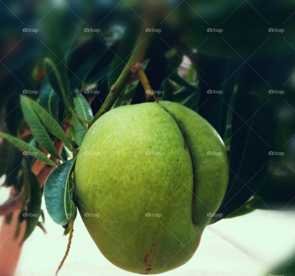 For fruit lovers, this one is typical of our region: mango 🥭!!! Simply delicious 😋