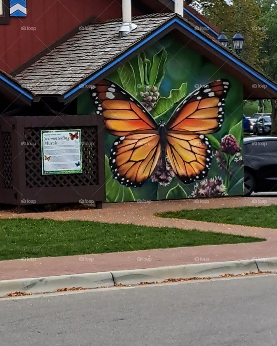 Butterfly Mural