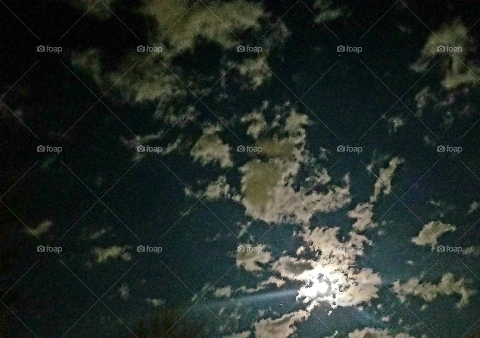 The Light in the Sky