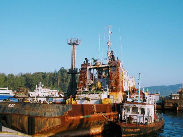 junkyard shil