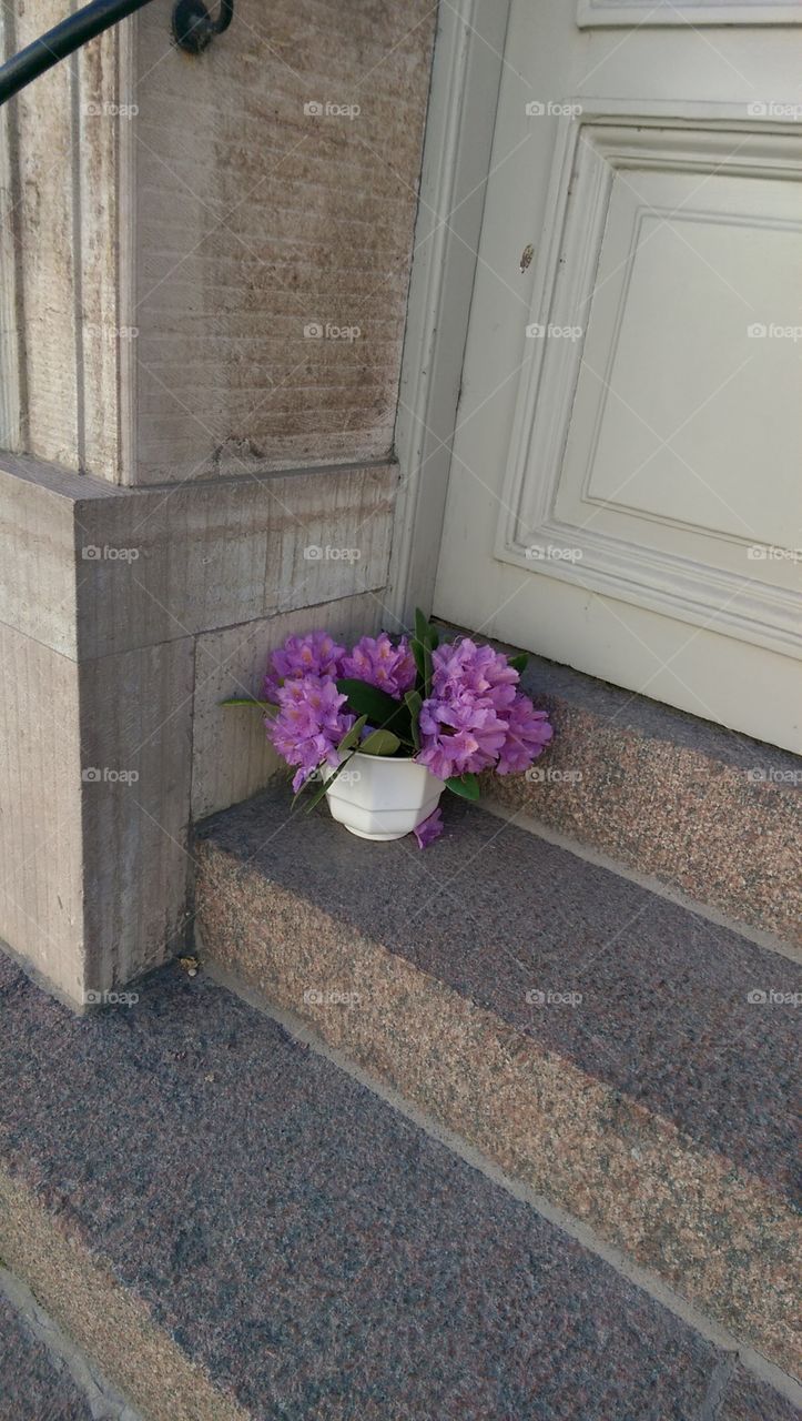 House, Home, Interior Design, No Person, Architecture