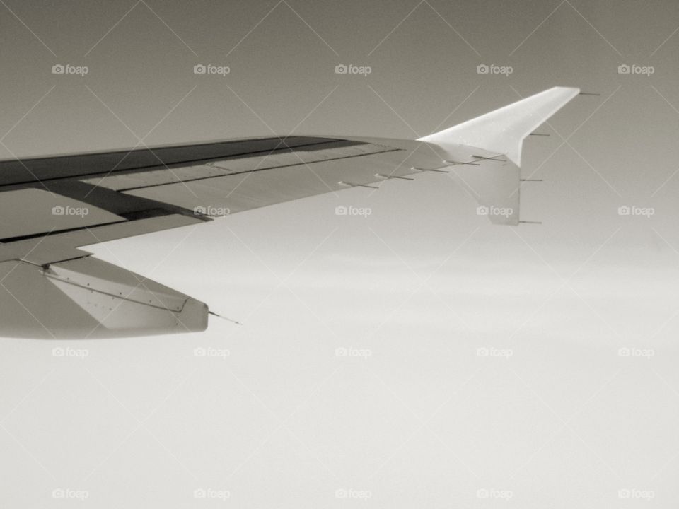 Black and white airplane wing