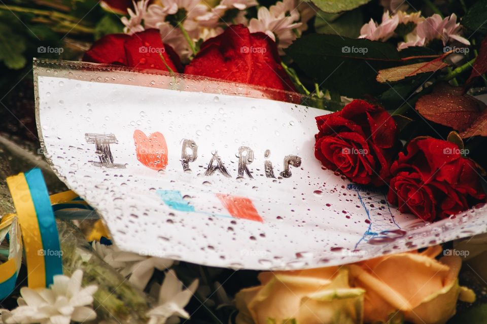 solidarity, peace for Paris, of mourning, pray for Paris, Paris, French, flag, pray, prayer, emblem, sign, symbol, Europe, religion, faith, salvation, attack, terrorists, the Eiffel tower, the hostages, the explosion, shooting, attack, blow, candle, respect, Embassy, France, Ukraine, war, citizens, the sympathy, the French language, the French, died, sad, injured, people, nation, terrorist, victim, critic, evil, Kiev, killed, put, murder, politics, horror, Ukrainian, violence, draw, drawing, child,
