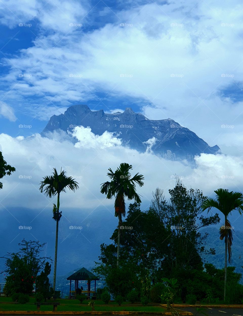 mountain view from the land