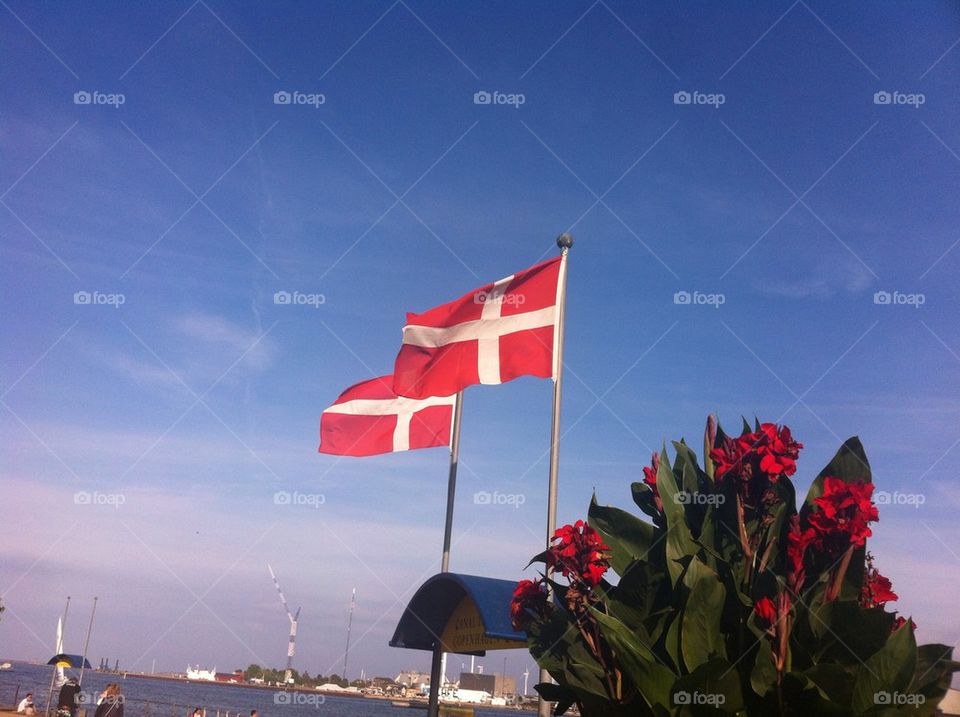 Denmarks flag