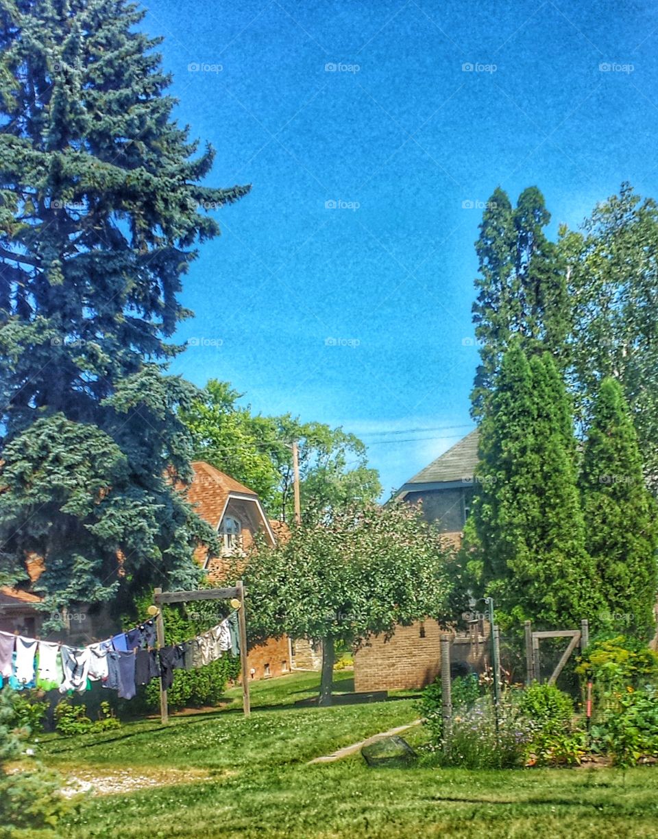 Neighborhood Backyards. Backyard Laundry