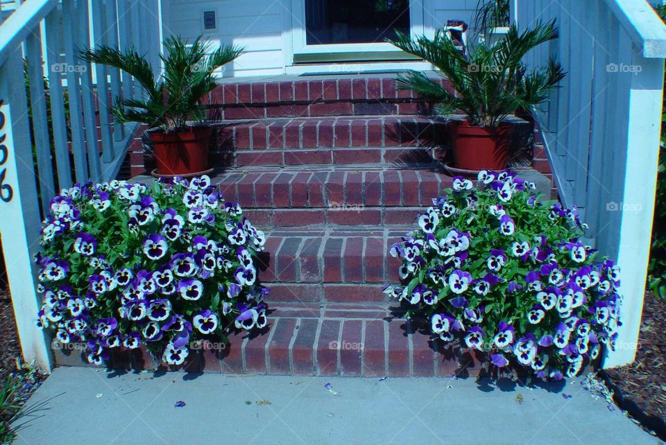 front steps