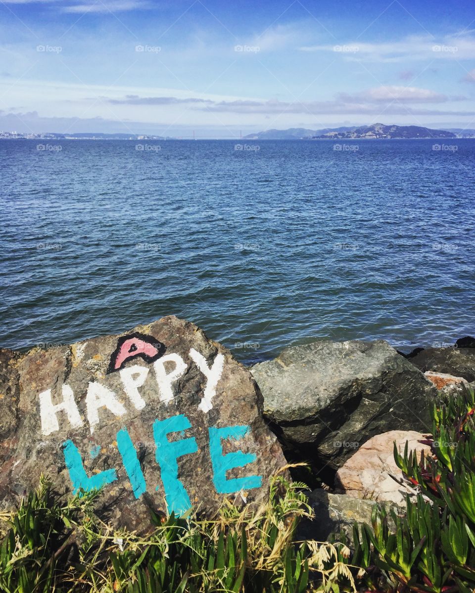 "A Happy Life" painted rock overlooking the ocean 