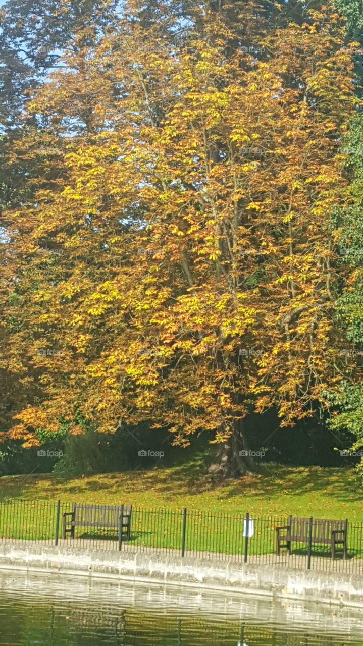 autumn in ipswich uk