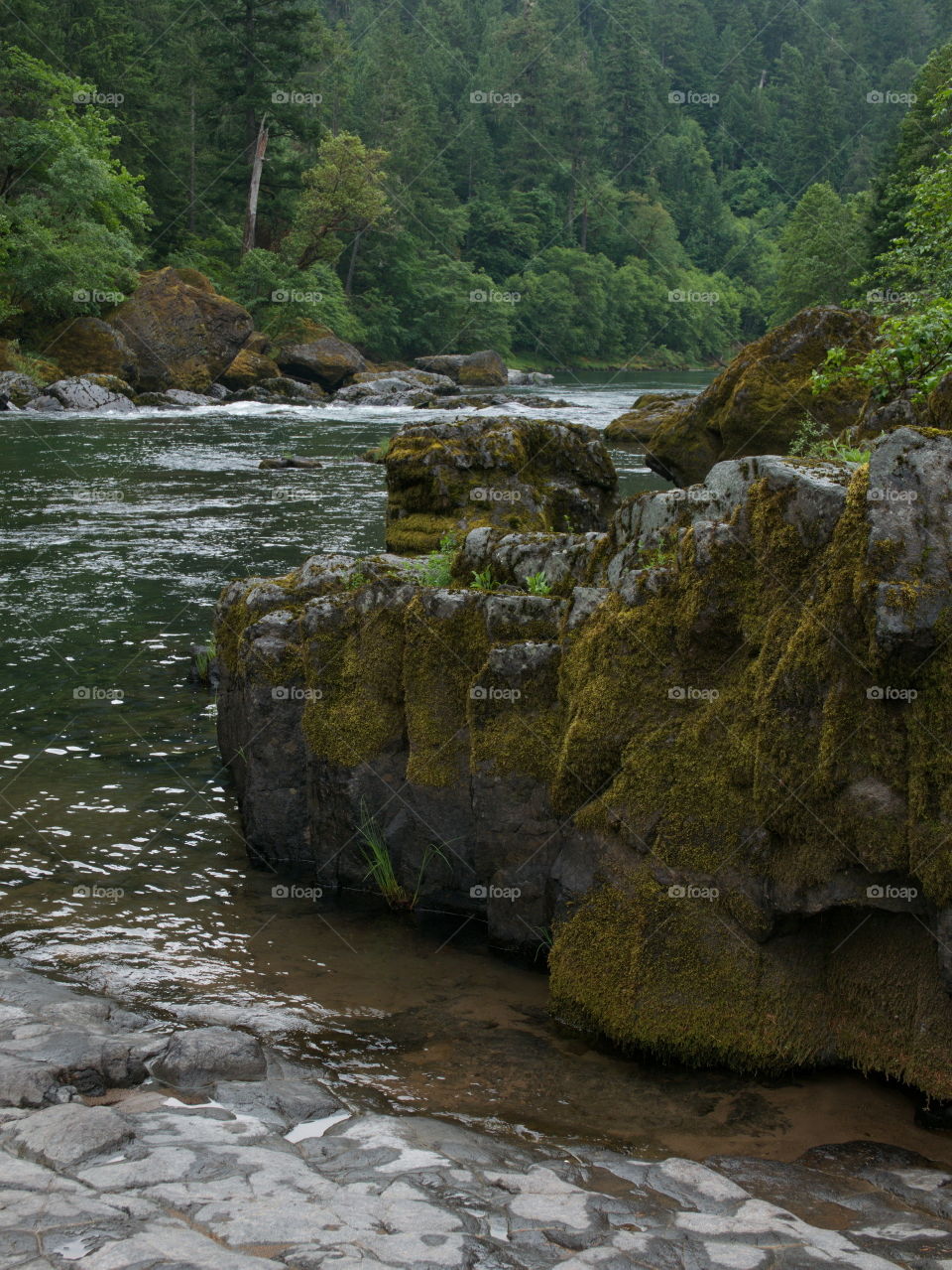 Boulders and rocks line the river banks of the magnificent waters of the Umpqua River in Southwestern Oregon on a summer morning. 