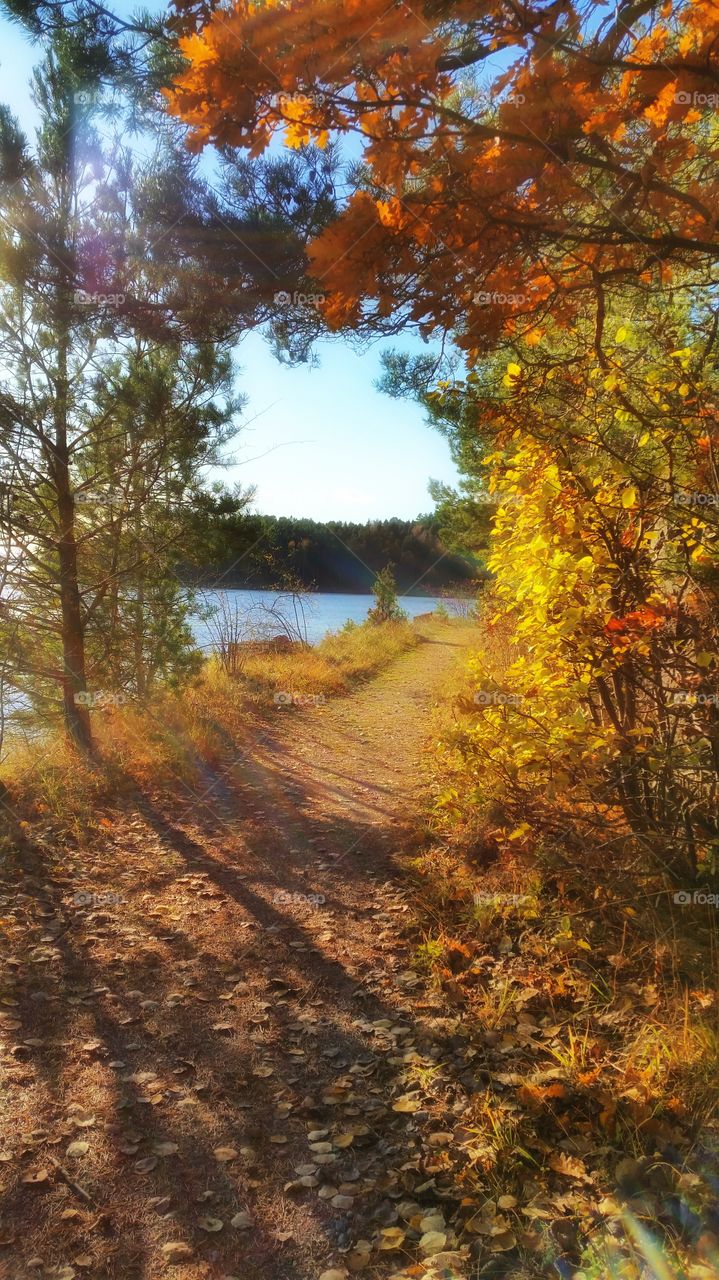 Photos taken in a little place called Berger, Norway. Autumn.