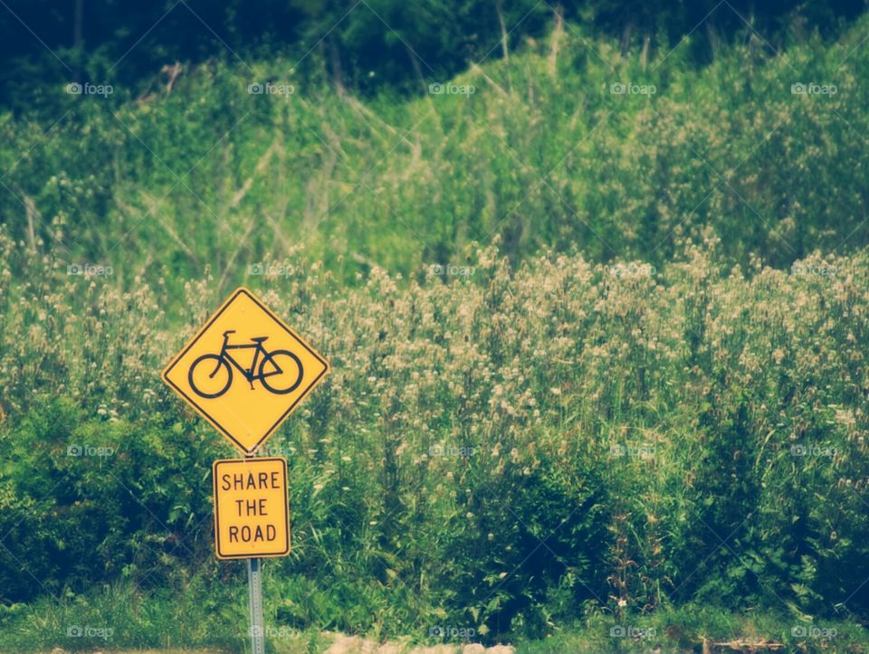 Share the Road