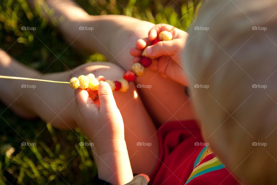 Wild strawberries